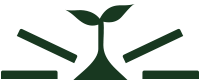 petit logo plante Habo Int